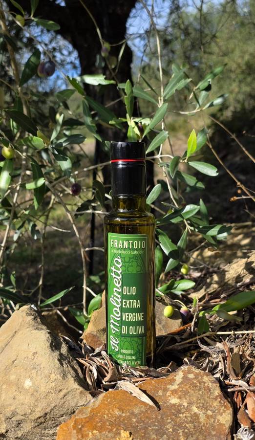 Bottiglia di olio extravergine Il Molinetto tra i rami di un ulivo